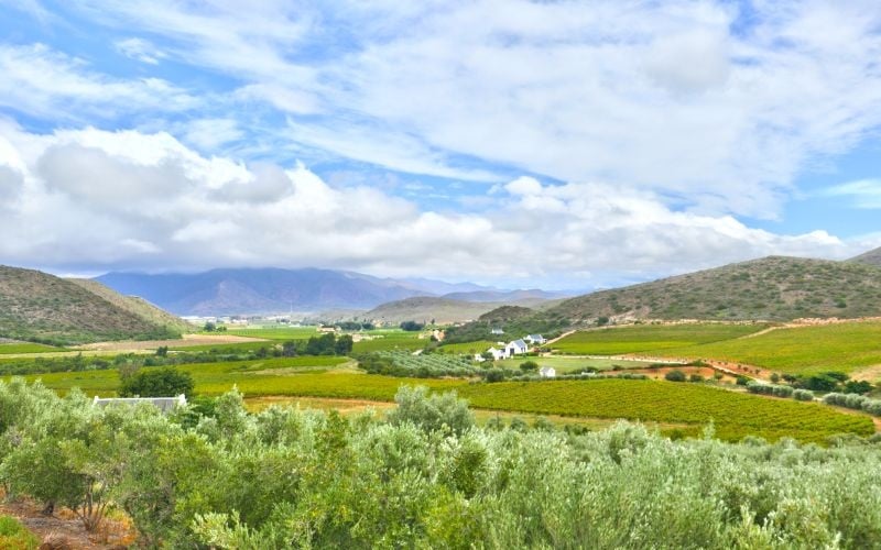 Orange Grove Farm, Robertson